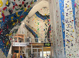 Urban Wall - Milano Climbing Factory thumb 9
